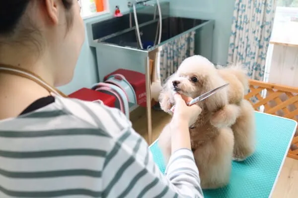 健康チェックもしっかり行います